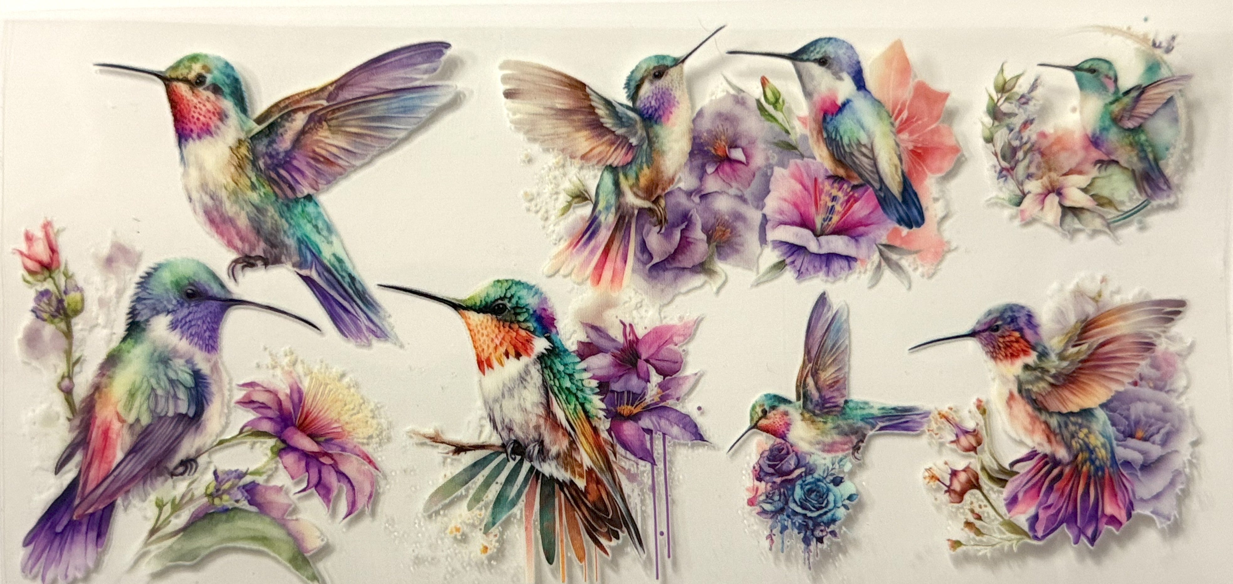Hummingbirds - #10