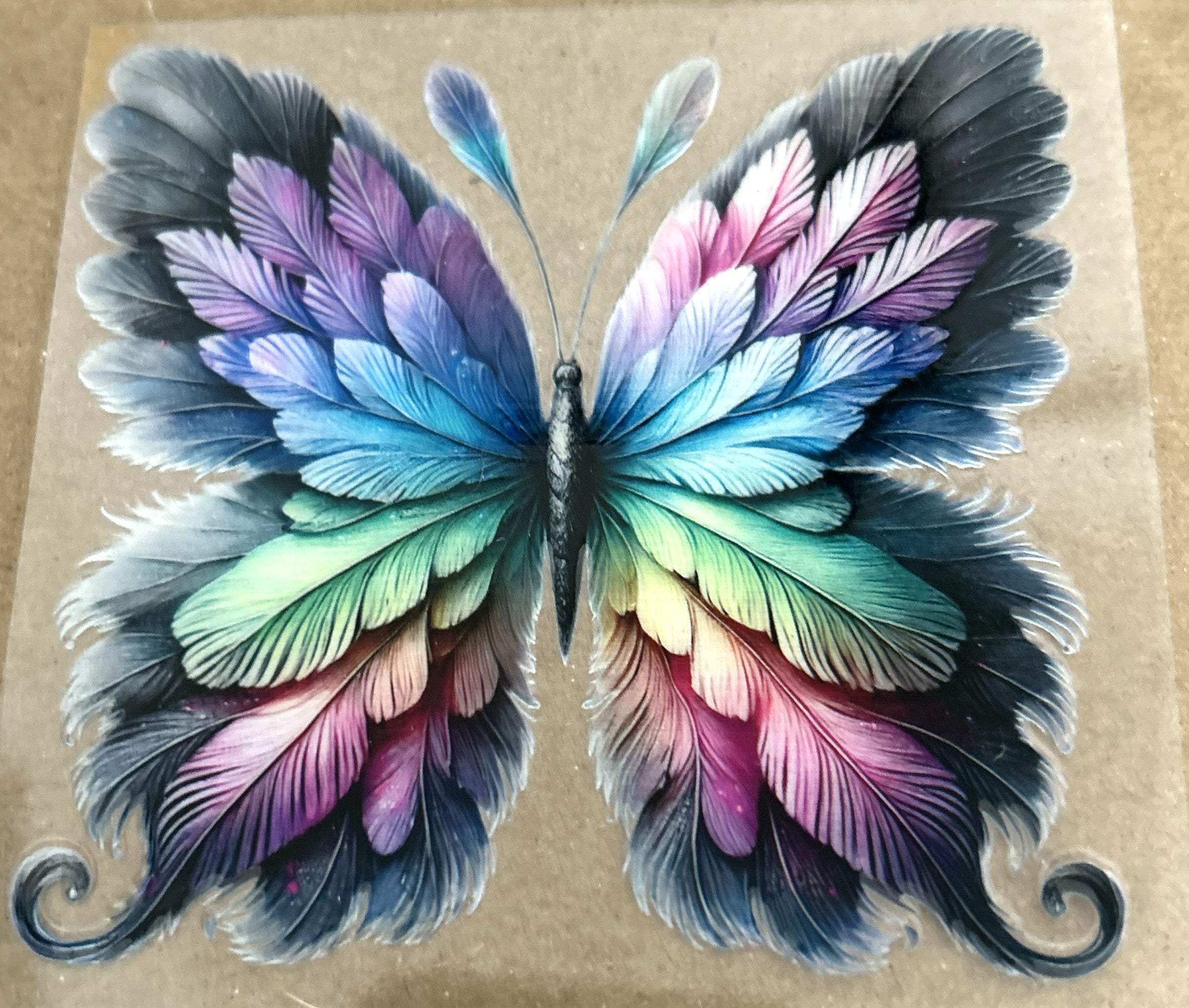 Butterfly - Multi color