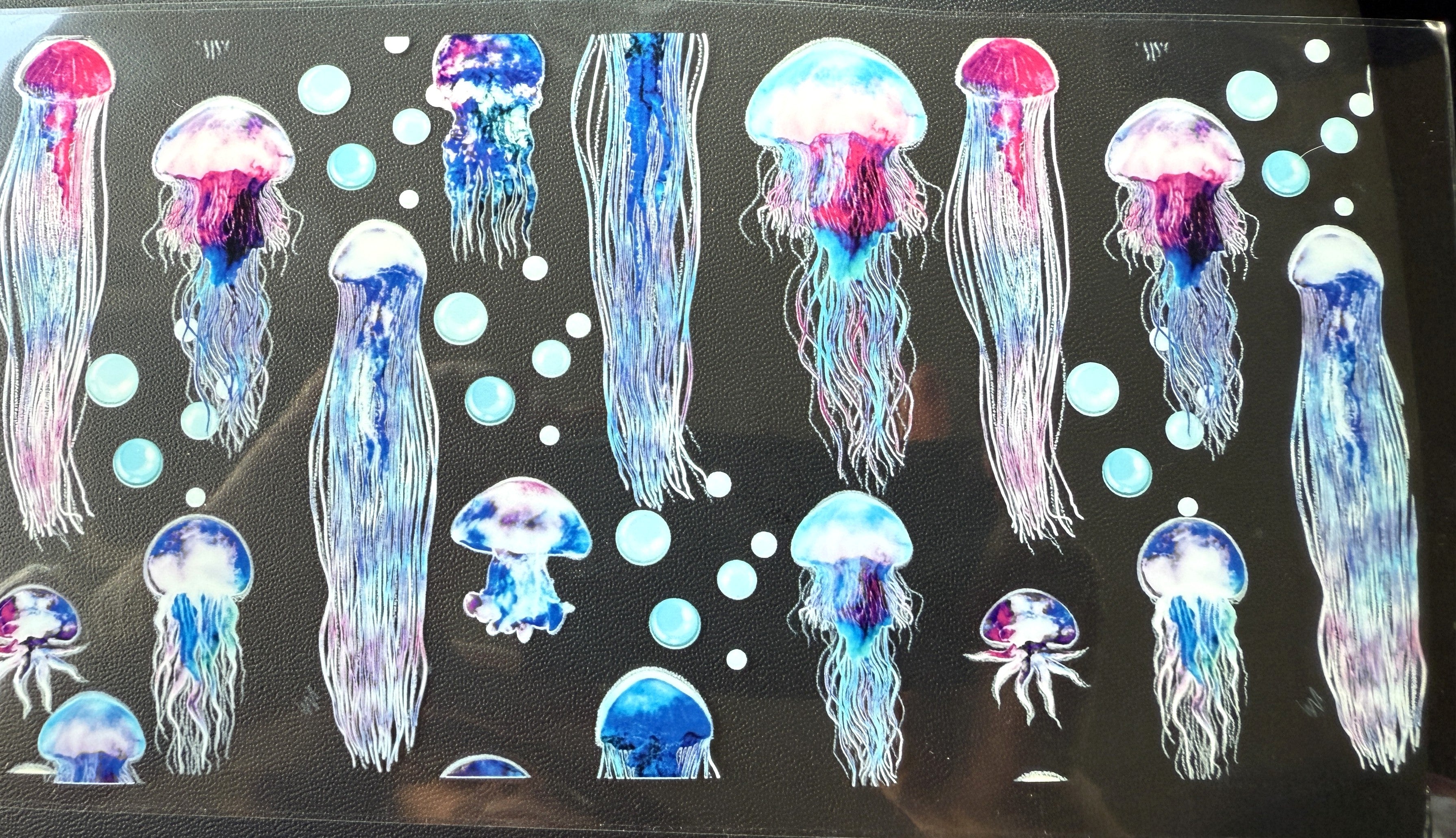 Colorful Jellyfish