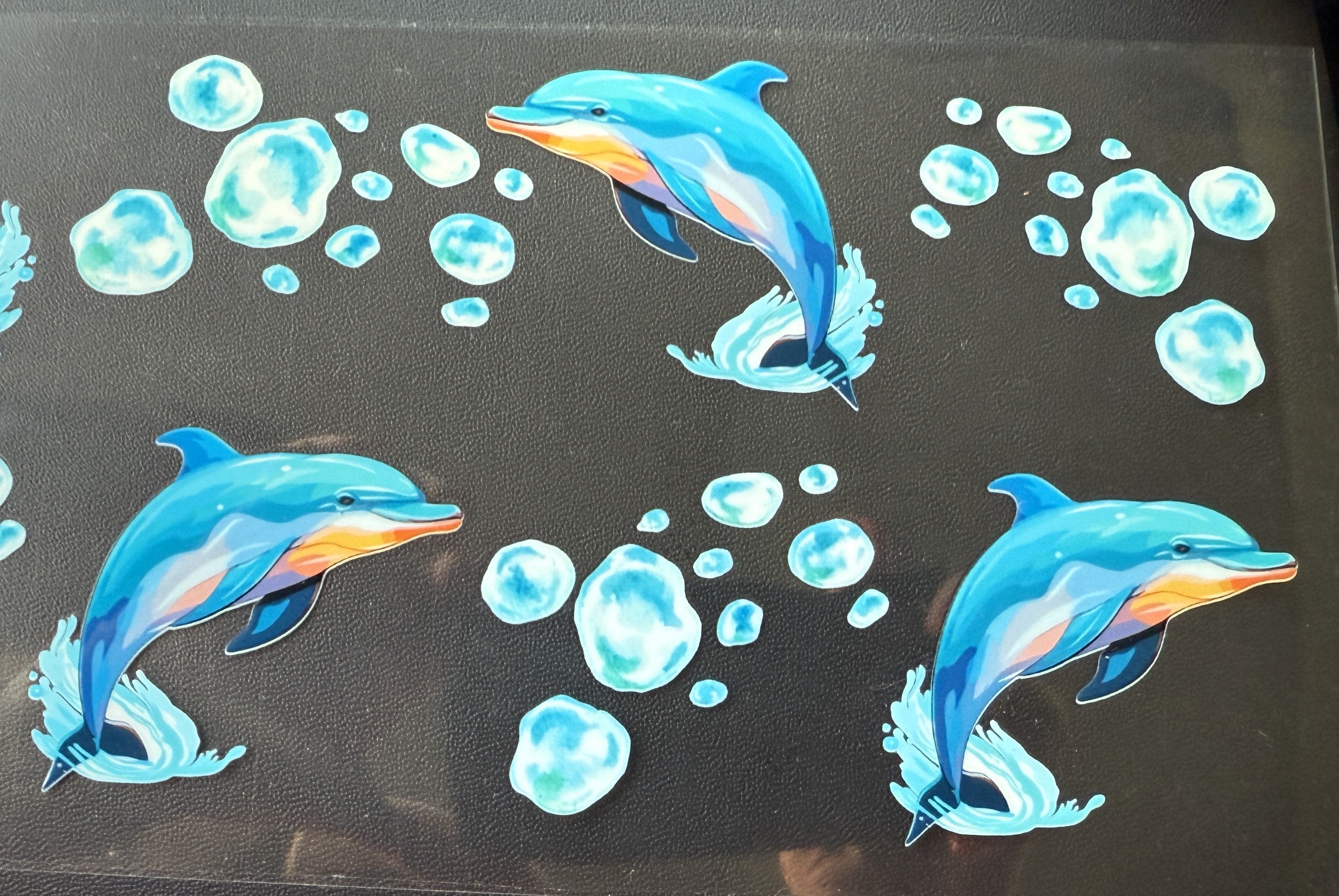 Dolphins