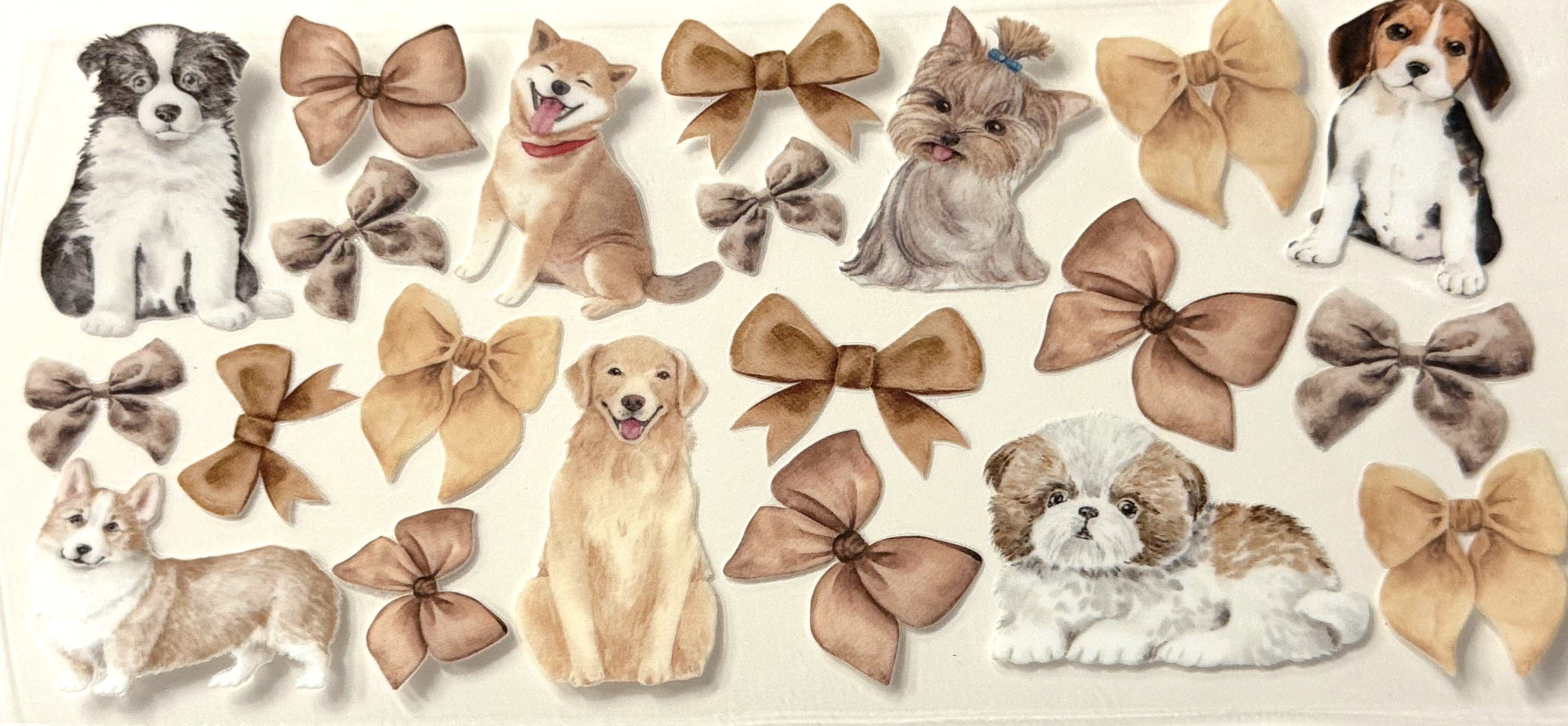 Group of Dogs