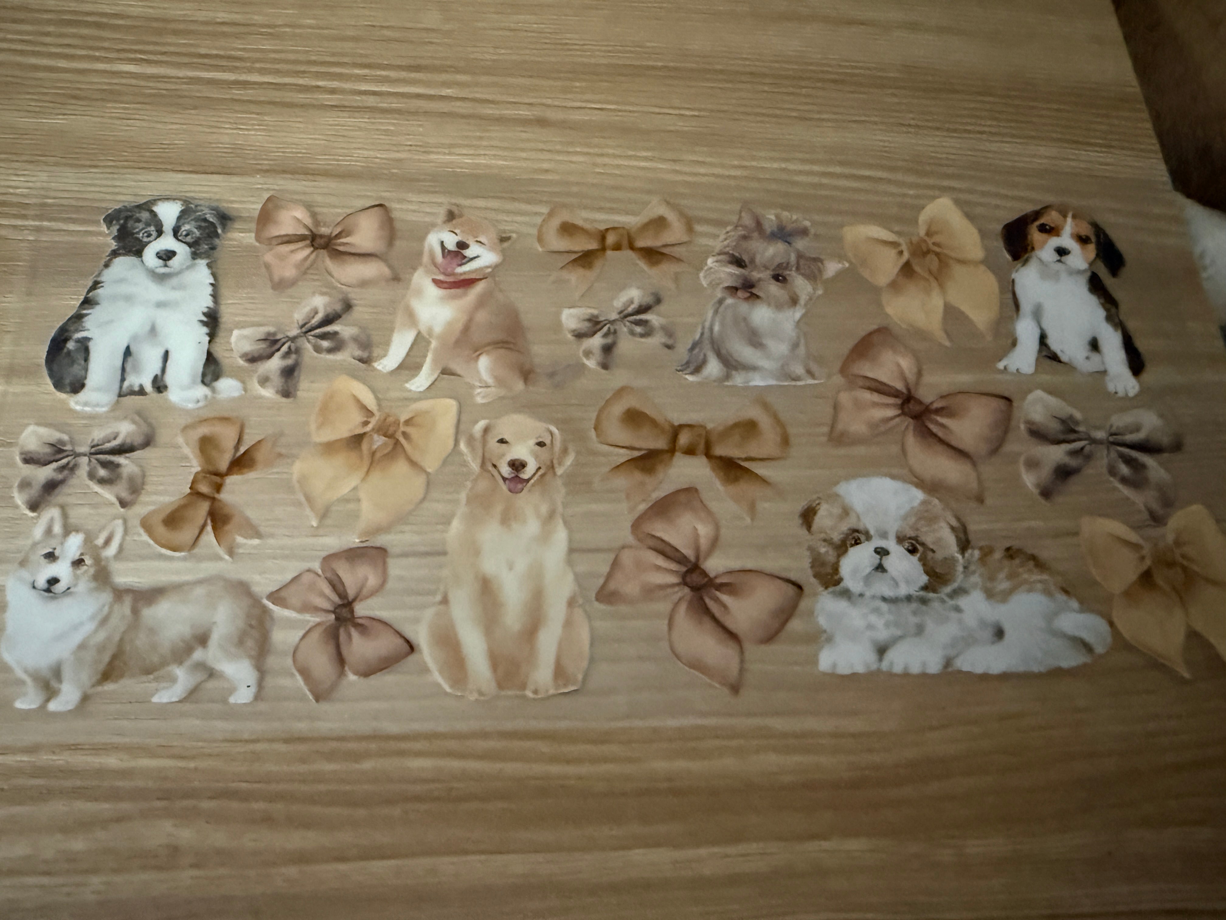 Dogs - Various dogs