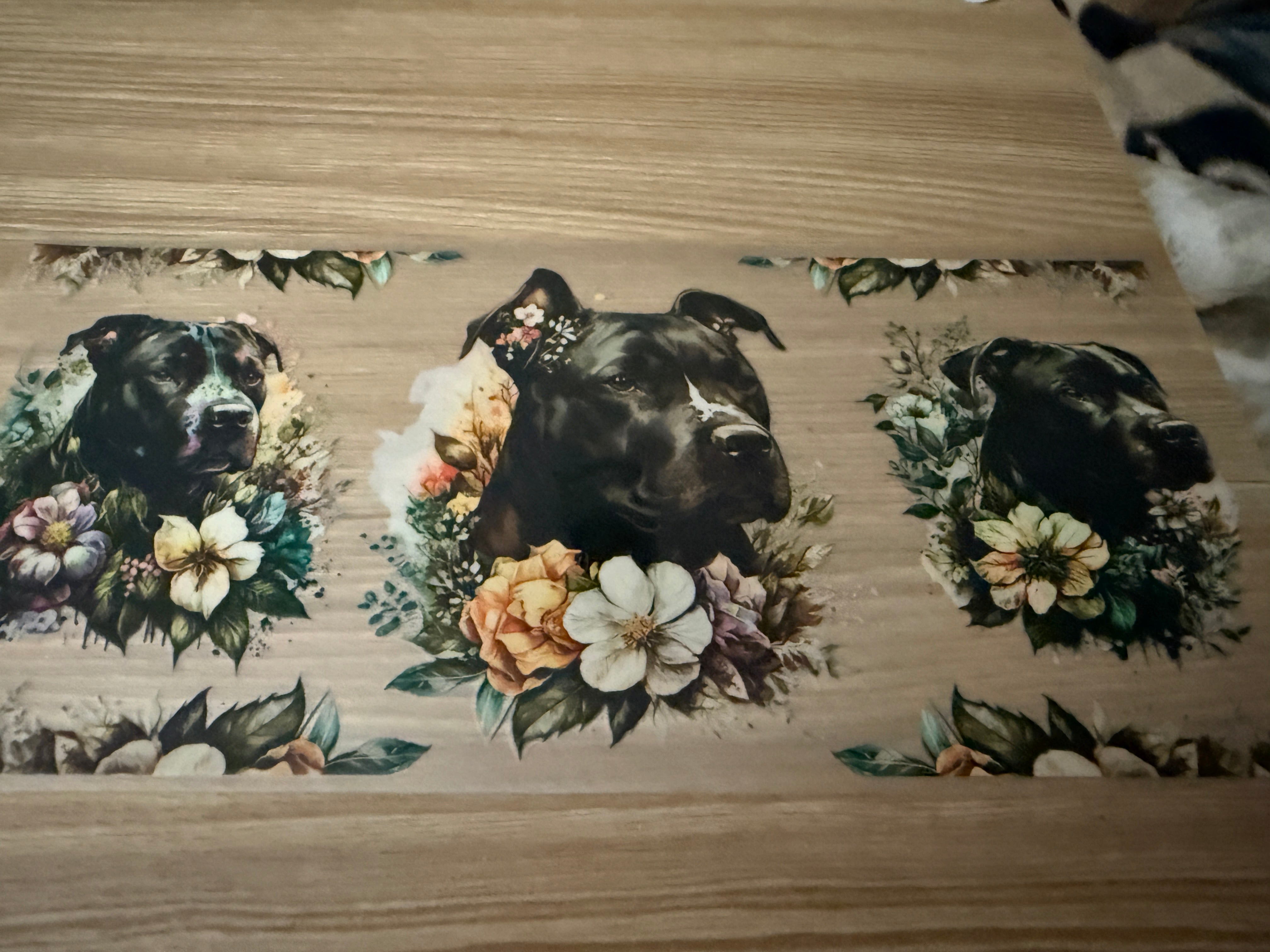 Dogs - Black Bull Dog with flowers
