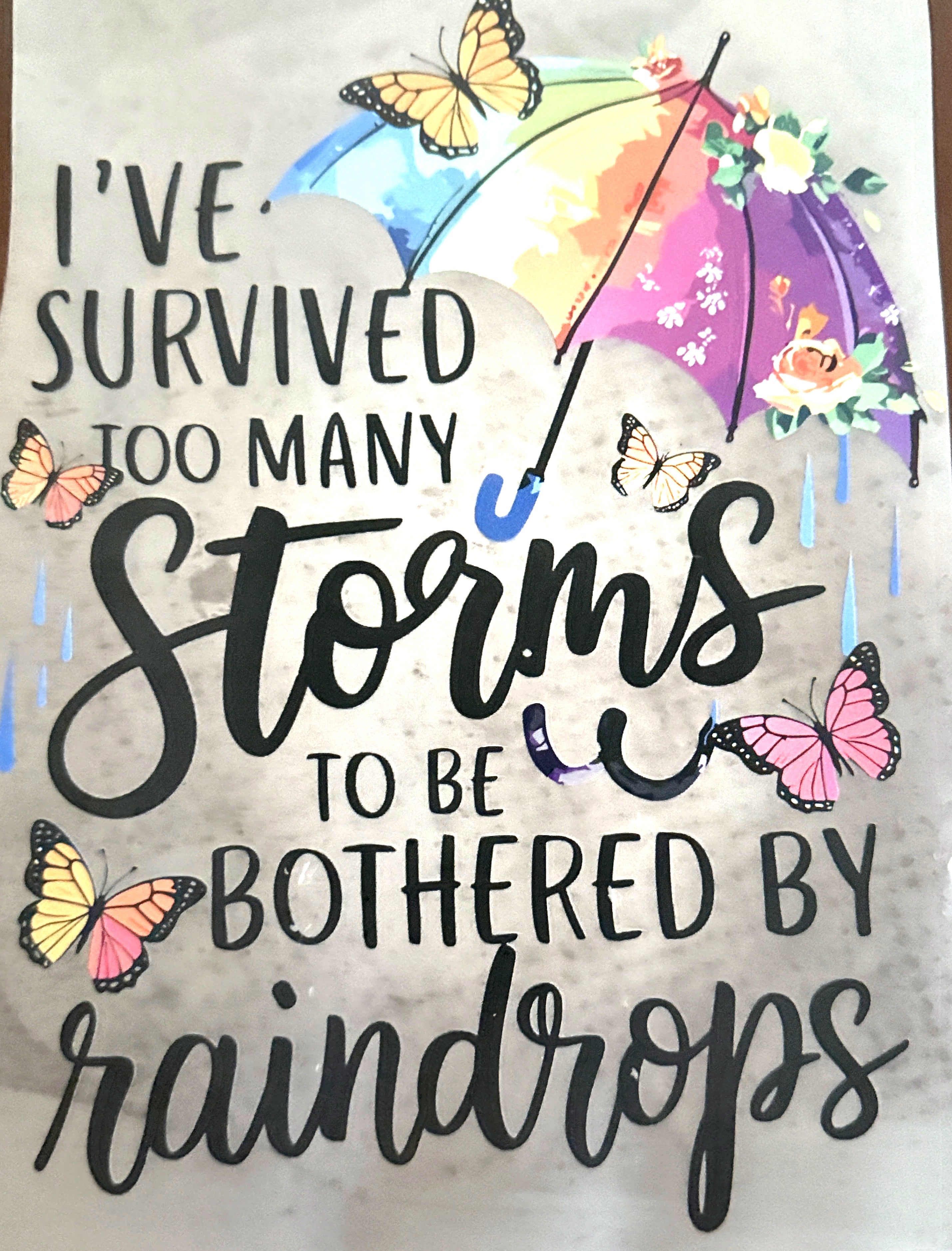 I've Survived too Many Storms