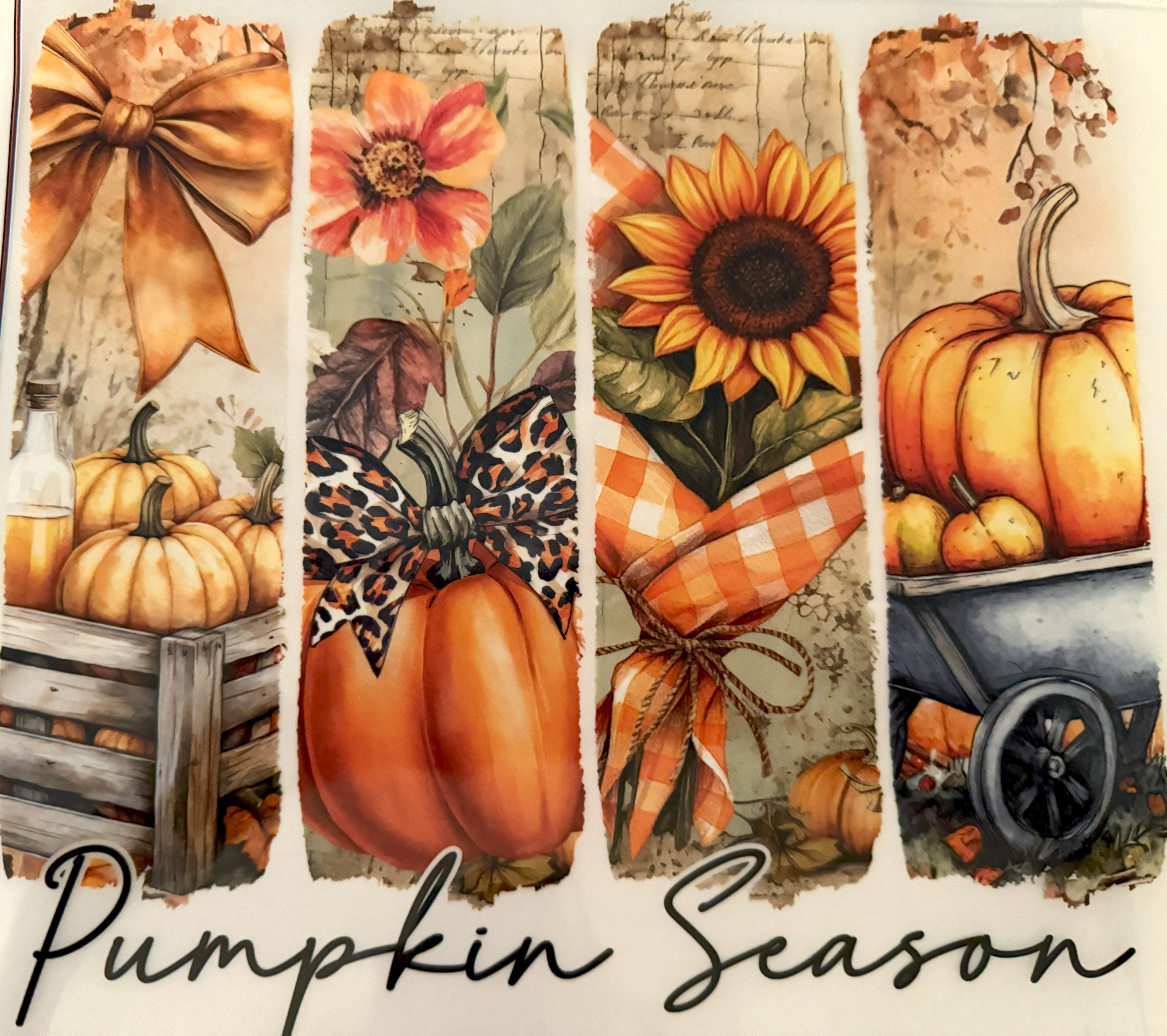 Pumpkin Season