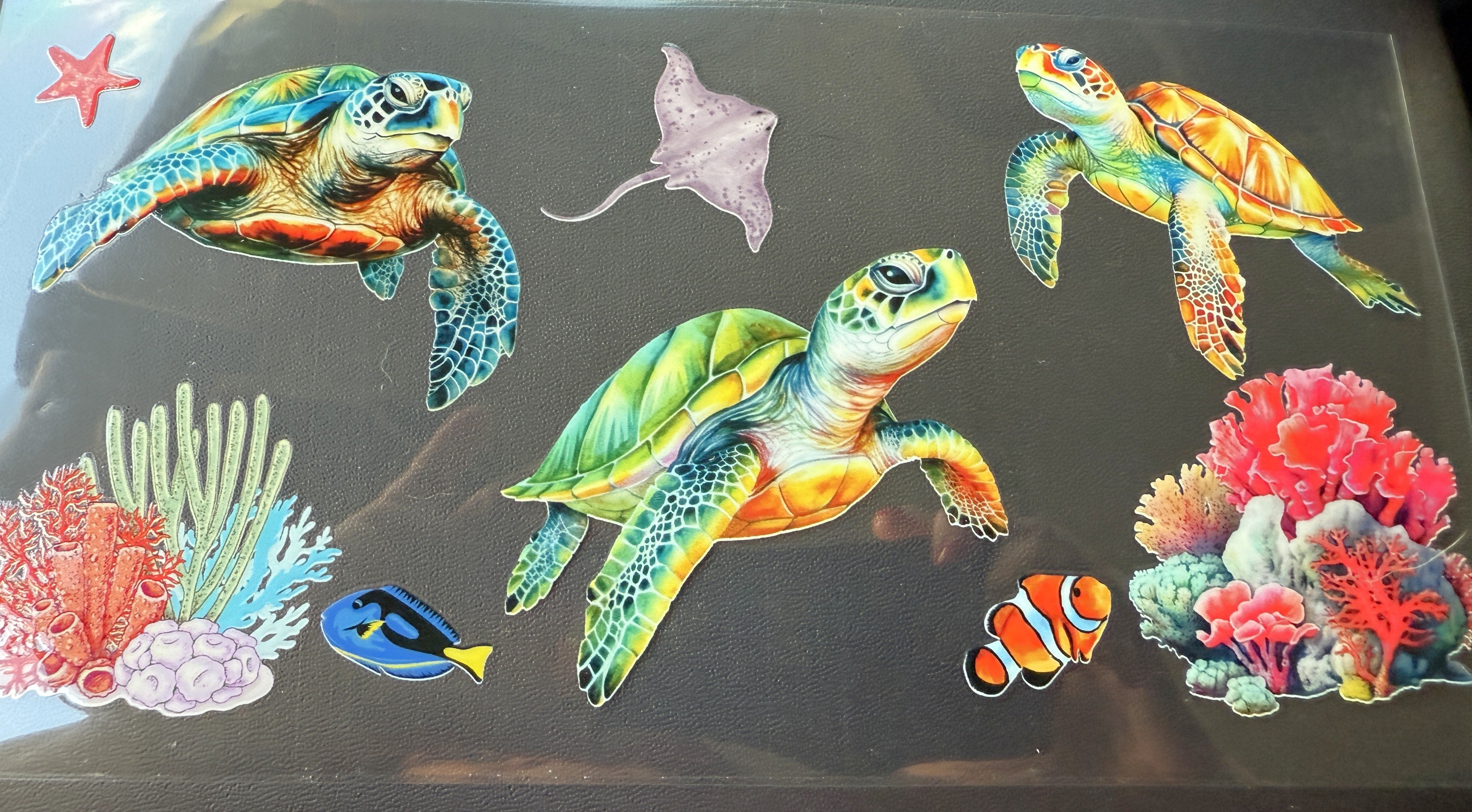 Turtles