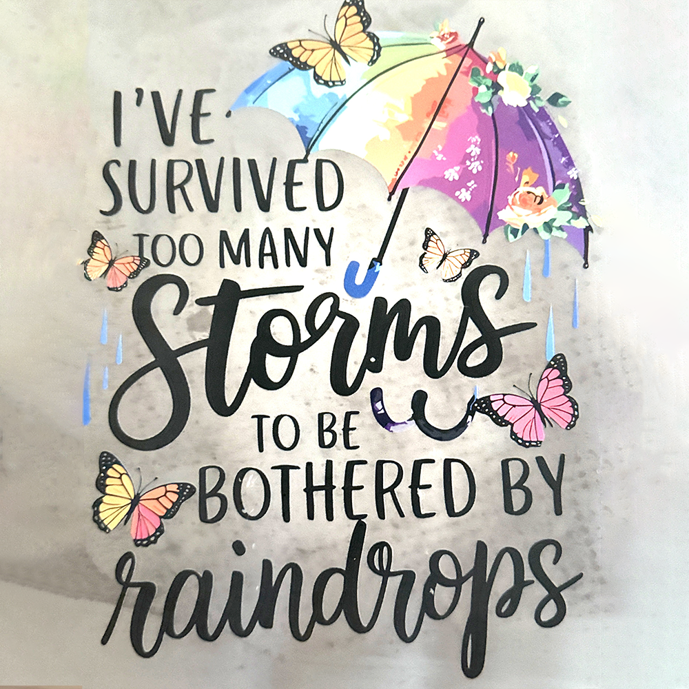 I've Survived too Many Storms